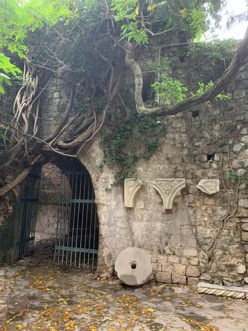 From Tirana: Shkodra and Ulcinj, Montenegro Day Tour - Good To Know  