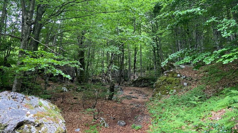 From Tirana: Valbona Park with Ferry Ride and Prizren City - Final Thoughts