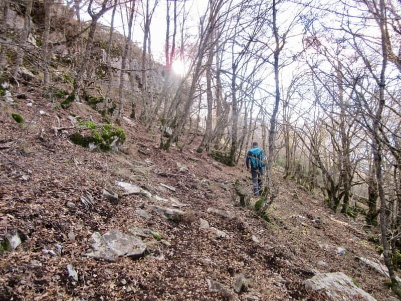 From Tirana: Vjosa River Rafting and Hiking 2-Day Trip - FAQ  