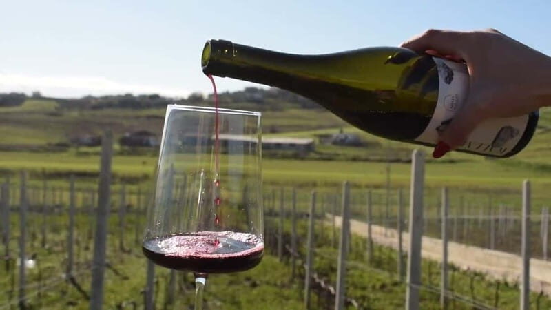 From Tirana: Wine Tasting & Durres Small Group Tour - An In-Depth Look at the Tour Experience