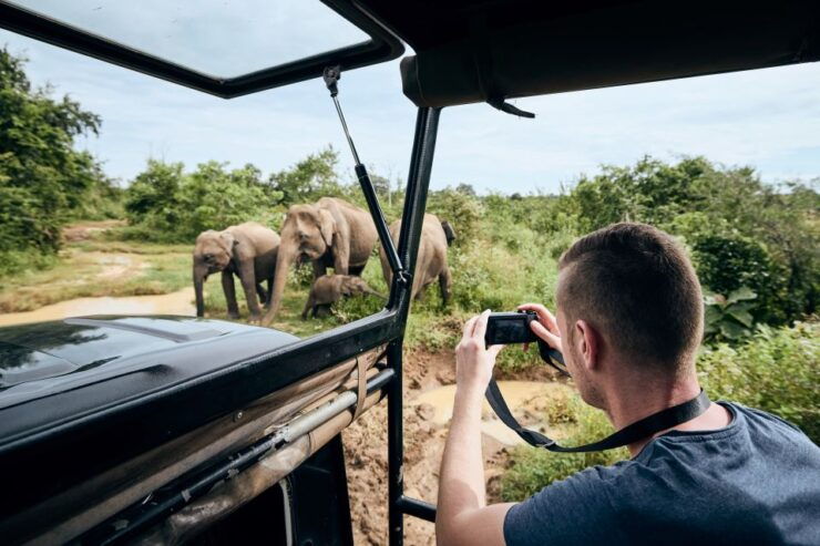 From Tissamaharama: Yala National Park Private Safari - Booking Details