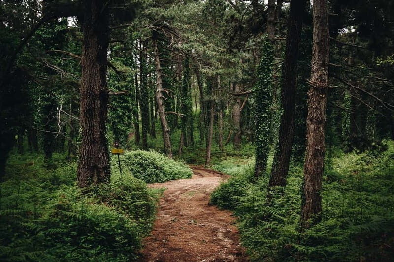 From Tivat: Vrmac Hill Scenic Hike above Boka Bay - Final Thoughts