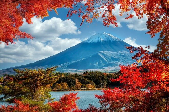From Tokyo: 1 Day Mount Fuji Private Guided Tour - Inclusions and Services