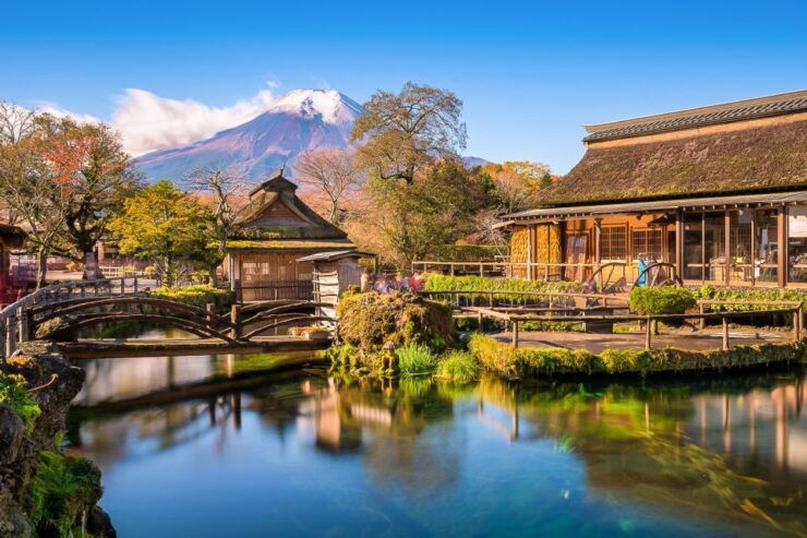 From Tokyo: 1-Day Private Mt. Fuji Tour by Car - Ticket Details