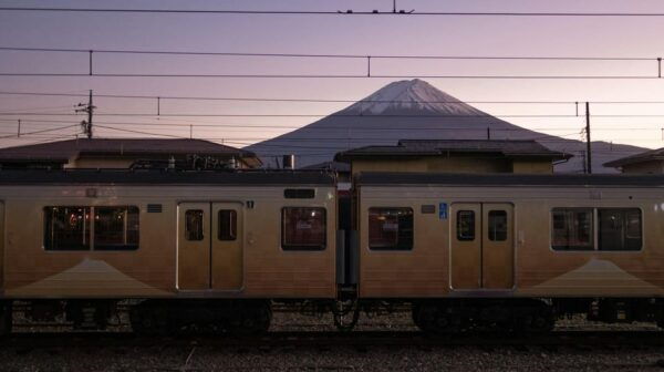 From Tokyo: 1 Full Day Mount Fuji Sightseeing Trip - Travel Tips