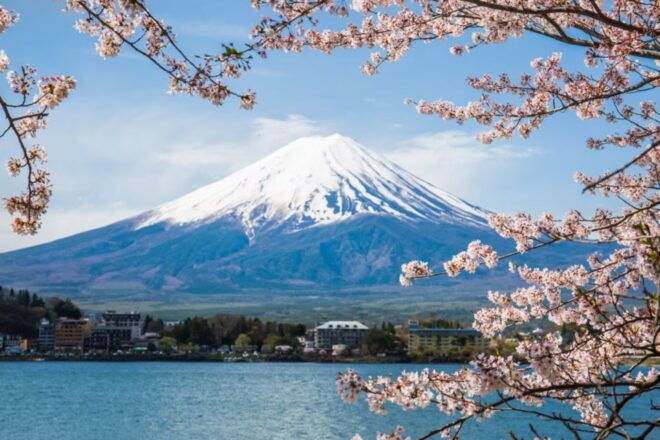 From Tokyo: 10-hour Mount Fuji Private Customizable Tour - Tour Highlights and Options to Explore