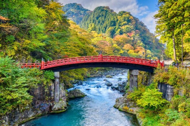 From Tokyo: 10-hour Private Custom Tour to Nikko - Itinerary Details