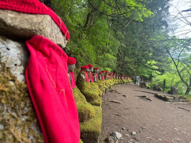 From Tokyo: 3-Day Nikko, Tokyo, and Mt. Fuji Tour - Day 2: Tokyo Experiences