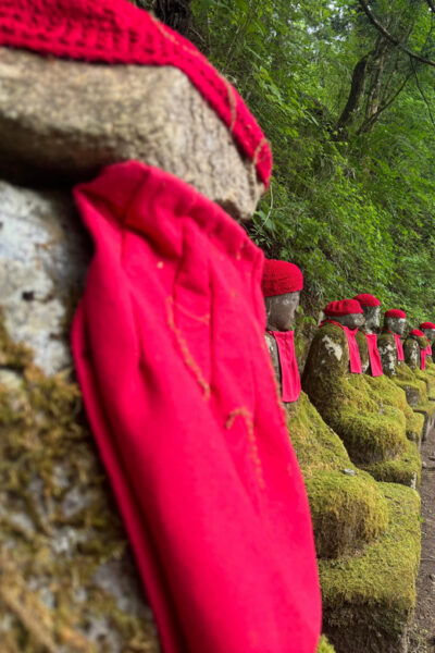 From Tokyo: 3-Day Nikko, Tokyo, and Mt. Fuji Tour - Frequently Asked Questions