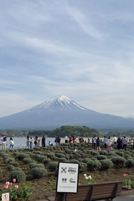 From Tokyo: 3 Day Private Tour (Mt.fuji, Nikko, Hakone) - Transportation Details