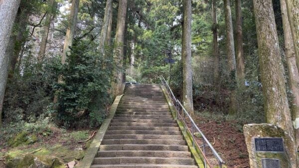 From Tokyo: 3 Day Private Tour (Mt.fuji, Nikko, Hakone) - Frequently Asked Questions