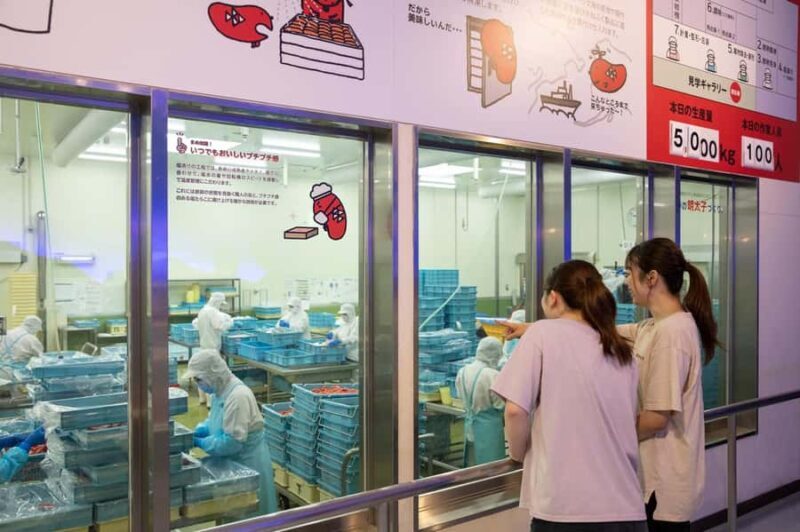 From Tokyo: Ashikaga Flower Park and Hitachi Park Tour - Who Is This Tour Best For?