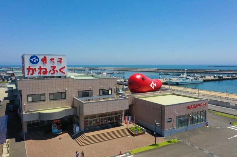 From Tokyo: Ashikaga Flower Park and Hitachi Park Tour - The Sum Up