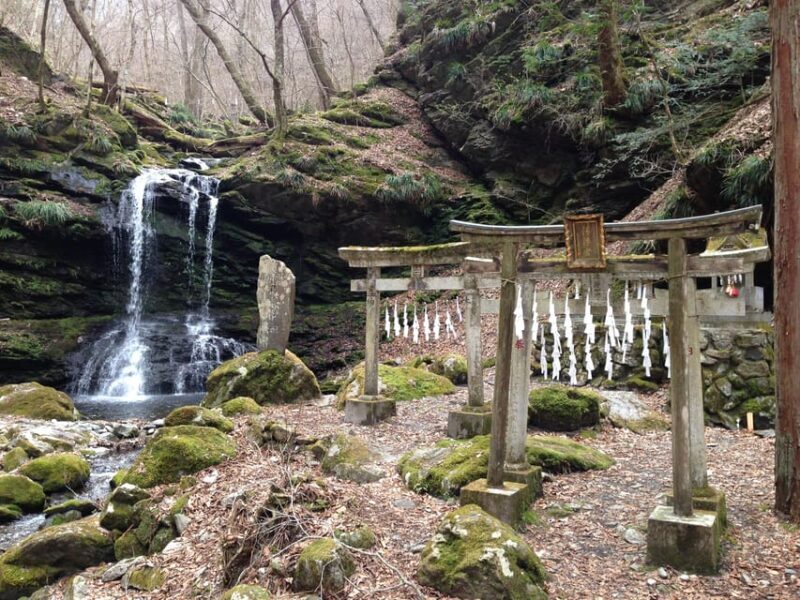 From Tokyo: Chichibu Hiking Day Tour To Mitsumine Shrine - Who Would Enjoy This Tour?