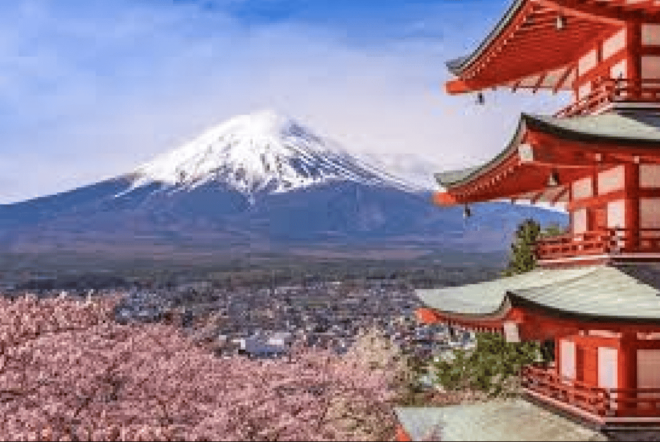 From Tokyo Custom Mt.Fuji Tour With the Private Van - Customization Options