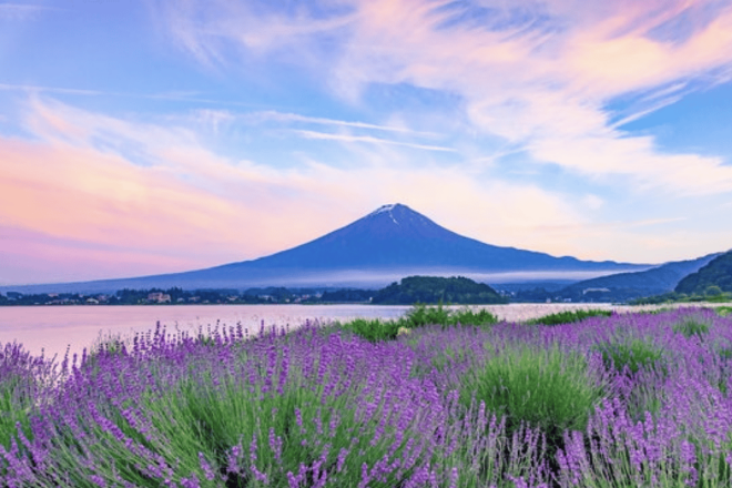 From Tokyo Custom Mt.Fuji Tour With the Private Van - Inclusions of the Tour