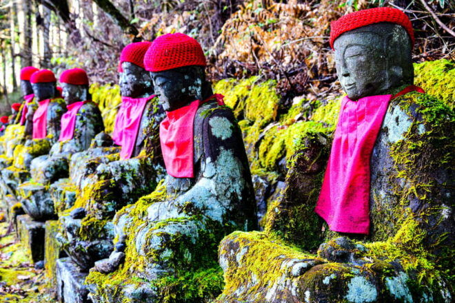 From Tokyo: Custom Nikko Day Tour With English Driver Flexib - Booking and Cancellation Policy