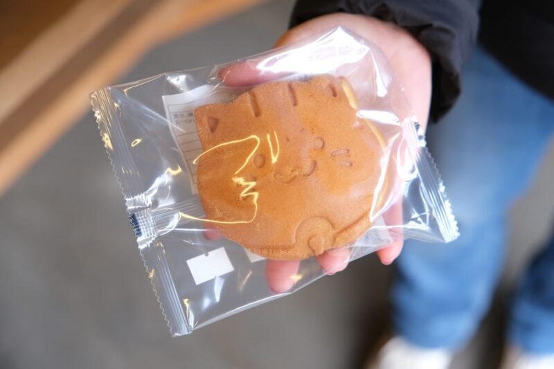 FROM TOKYO - EXPLORE LITTLE EDO & CRAFTS WALKING TOUR - Who Should Book This Tour?