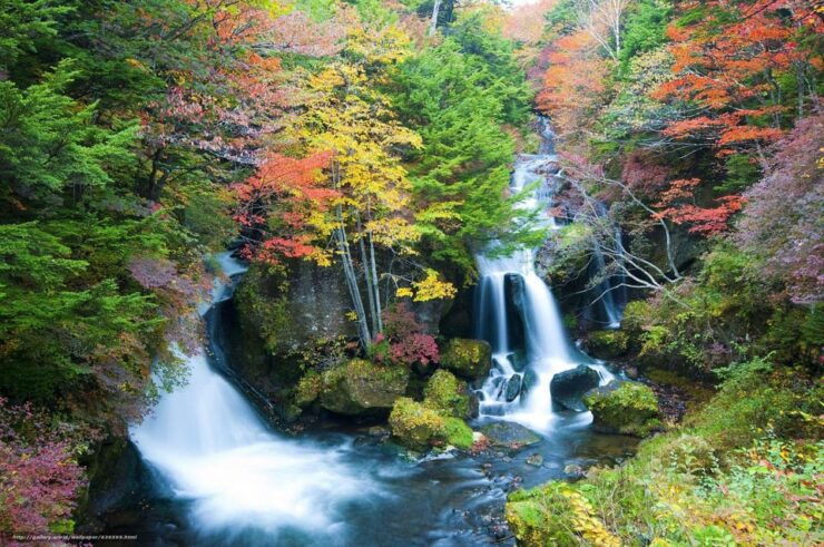 From Tokyo: Explore Nikko in a One Day, Shrine, Waterfall - Trip Overview