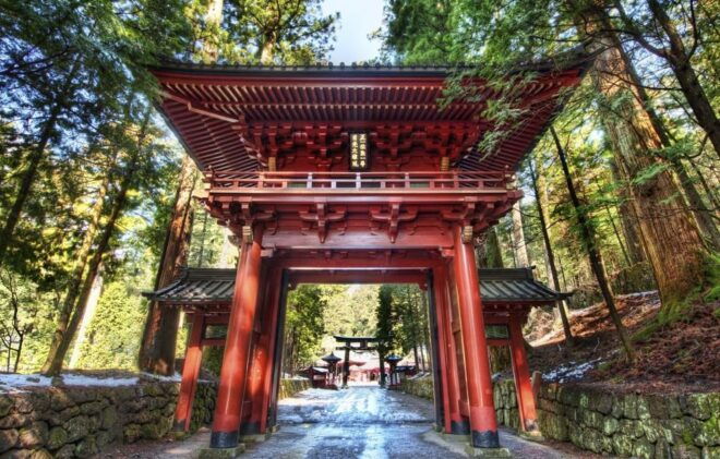 From Tokyo: Explore Nikko in a One Day, Shrine, Waterfall - Tour Logistics