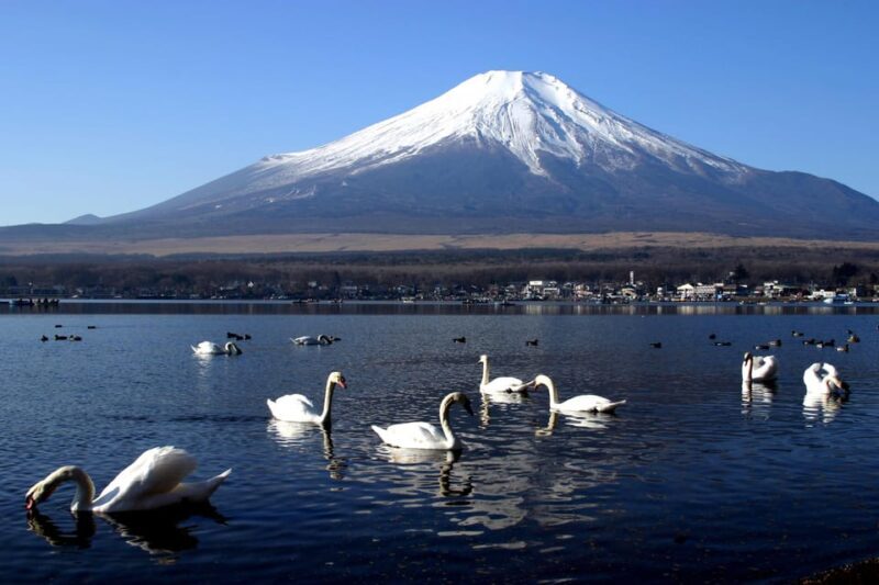 From Tokyo: Fuji Mountain Area - FujiQ - Lake Kawaguchiko - Chureito Pagoda - Good To Know