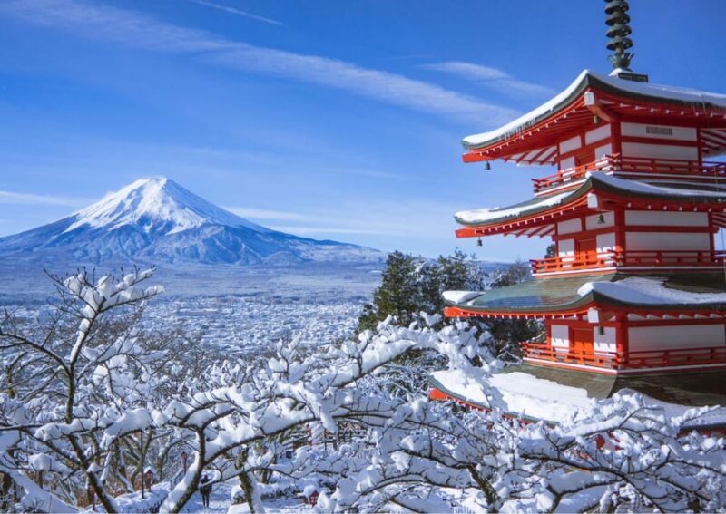 From Tokyo: Fuji Mountain Area - FujiQ - Lake Kawaguchiko - Chureito Pagoda - The Practicalities and Value