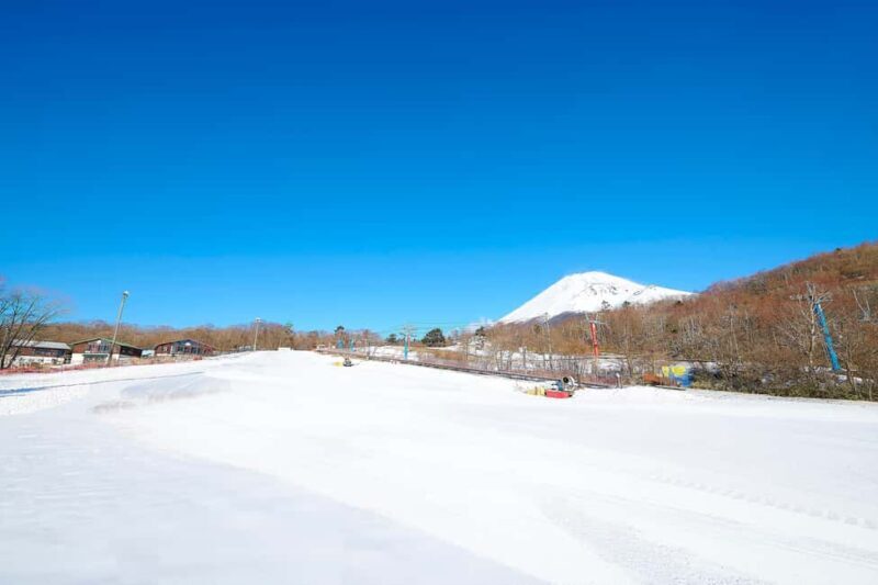 From Tokyo : Fujiyama Snow Resort Yeti Day Tour - Additional Comments From Past Travelers