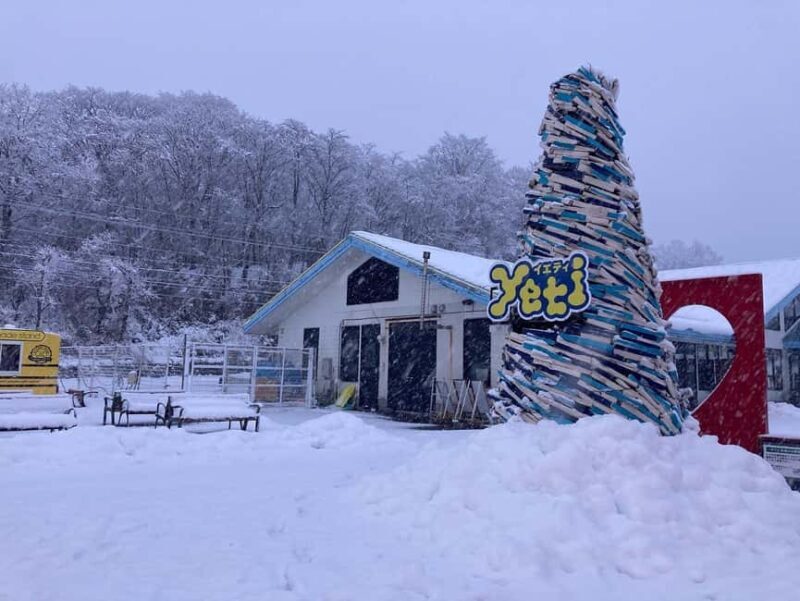 From Tokyo : Fujiyama Snow Resort Yeti Day Tour - Good To Know