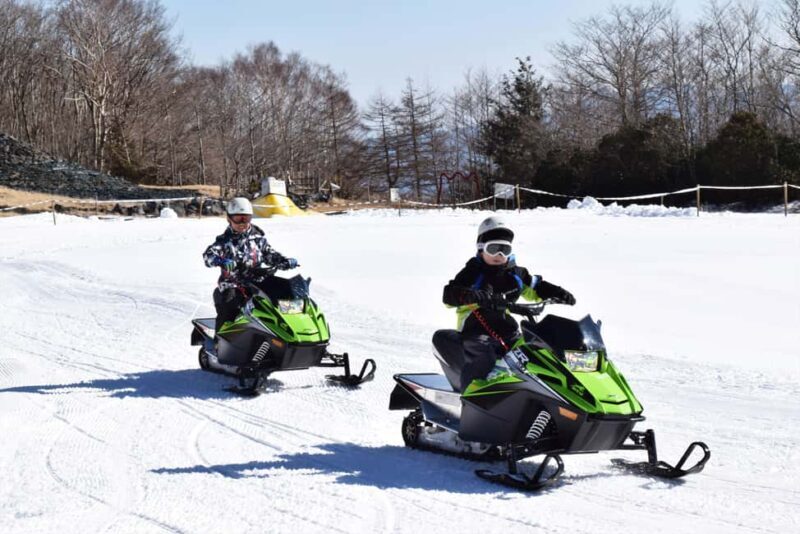 From Tokyo: Fujiyama Snow Resort Yeti Winter Ski Day Tour - Authentic Experiences from Reviews  