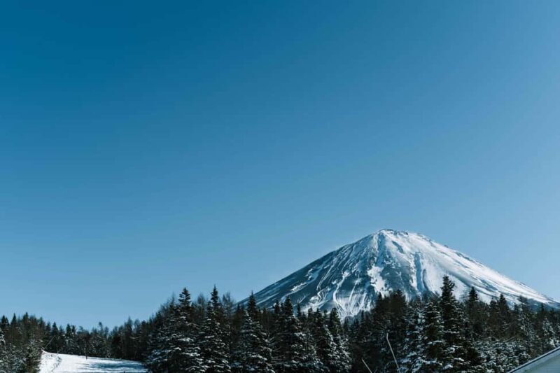 From Tokyo: Fujiyama Snow Resort Yeti Winter Ski Day Tour - An Authentic Look at the Fujiyama Snow Resort Yeti Tour
