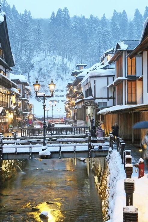 From Tokyo: Ginzan Onsen, Zao Snow Monsters 2-Day Tour - Good To Know