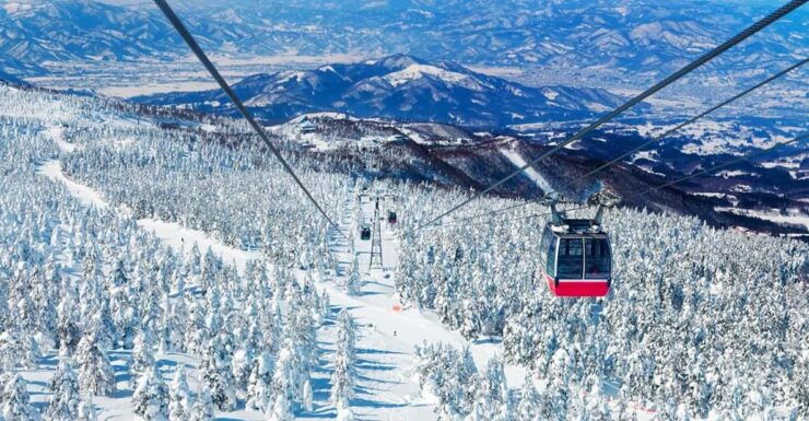 From Tokyo: Ginzan Onsen, Zao Snow Monsters 2-Day Tour - Meeting Points