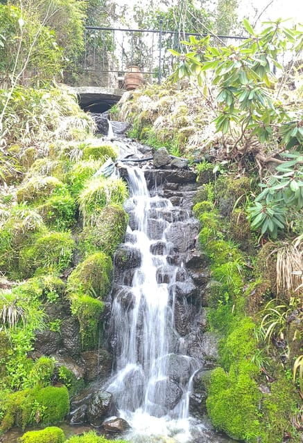 From Tokyo: Hakone 1 Day Private Tour With English Driver - Good To Know