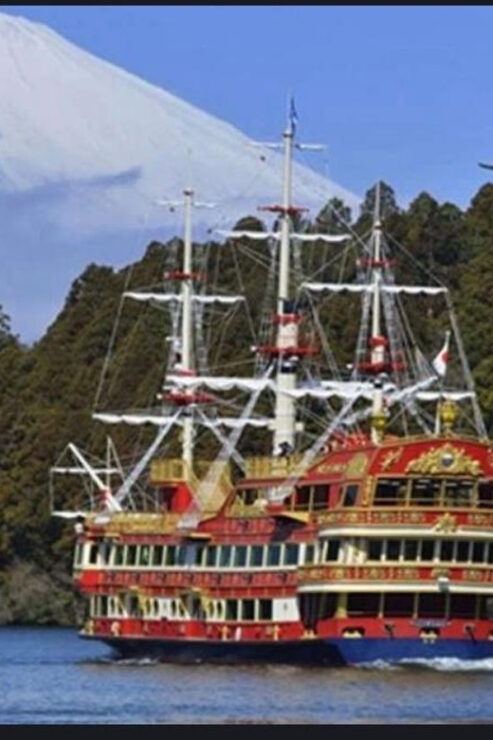 From Tokyo: Hakone 1 Day Private Tour With English Driver - Pickup Details