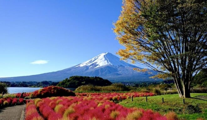 From Tokyo: Hakone 1 Day Private Tour With English Driver - Itinerary Highlights