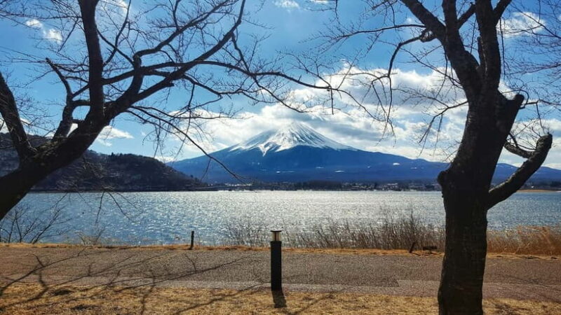 From Tokyo: Hakone Day Trip with English Speaking Driver - FAQ