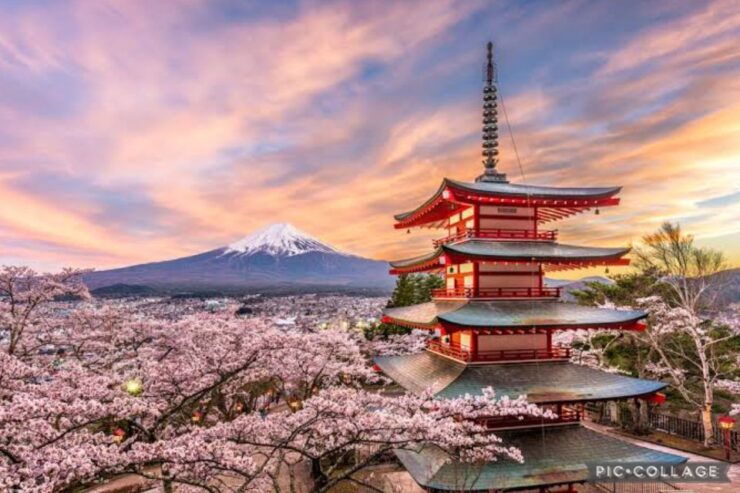 From Tokyo/Hakone/Fuji: Hakone & Mt. Fuji Day Trip W/Pickup - Activity Information