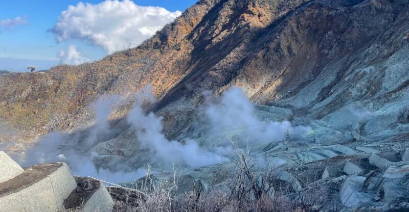 From Tokyo: Hakone Full Day Customizable Private Tour - Good To Know