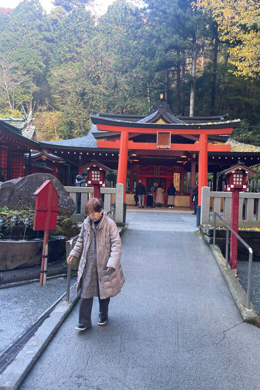 From Tokyo: Hakone Full Day Customizable Private Tour - Authentic Experience & Review Insights