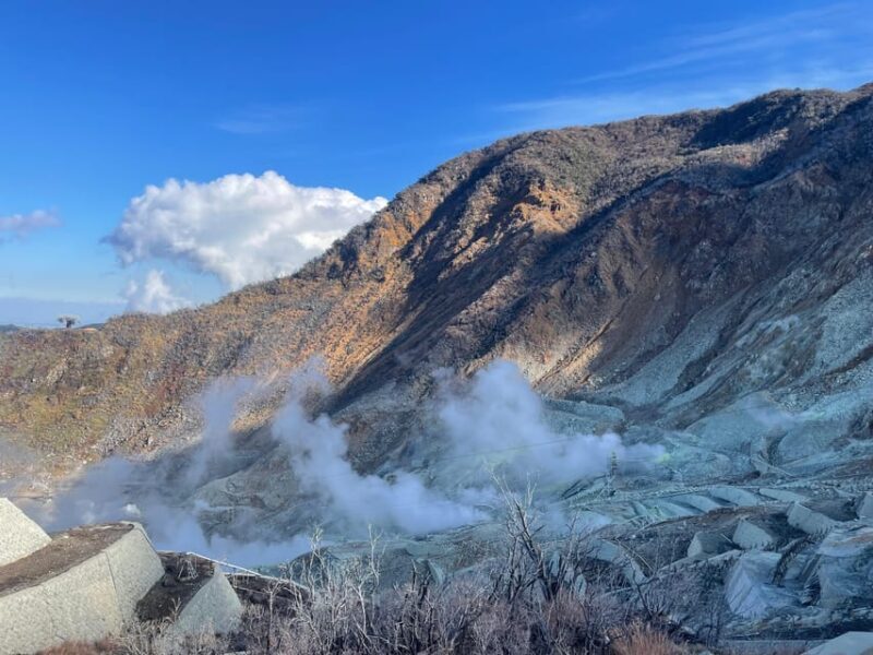 From Tokyo: Hakone Full Day Customizable Private Tour - Final Thoughts