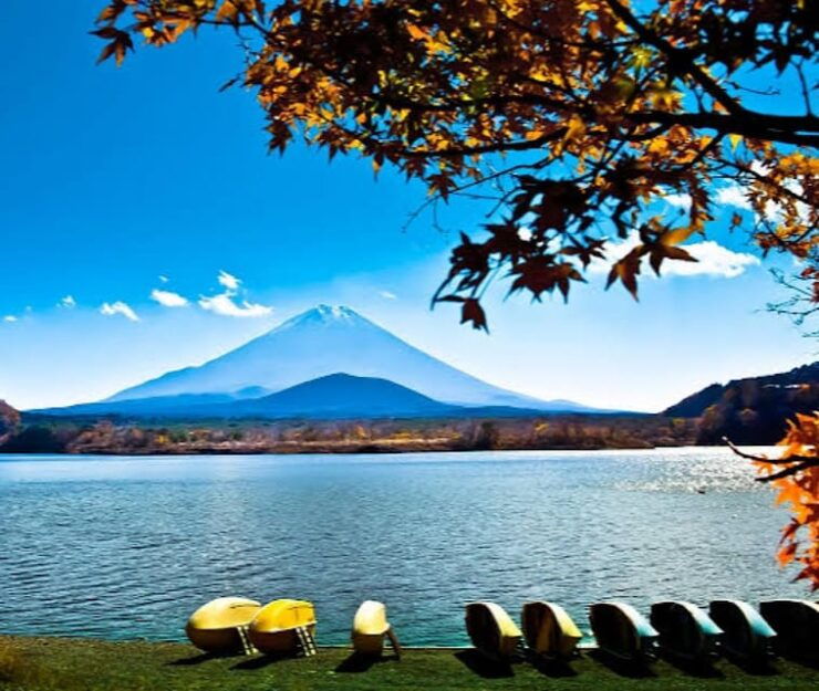 From Tokyo: Hakone, Lake Asahi & Oshino Hakkai Private Tour - Itinerary Highlights