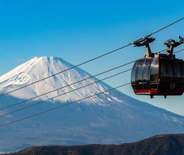 From Tokyo: Hakone, Lake Asahi & Oshino Hakkai Private Tour - Additional Information and Tips