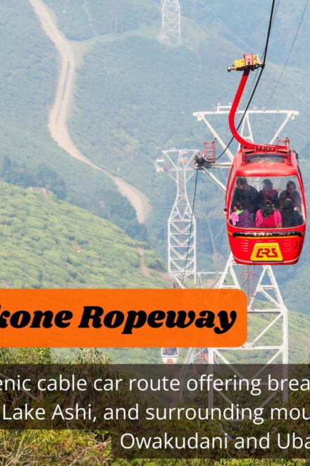 From Tokyo: Hakone, Lake Ashi Private Sightseeing Day Trip - Transportation Details
