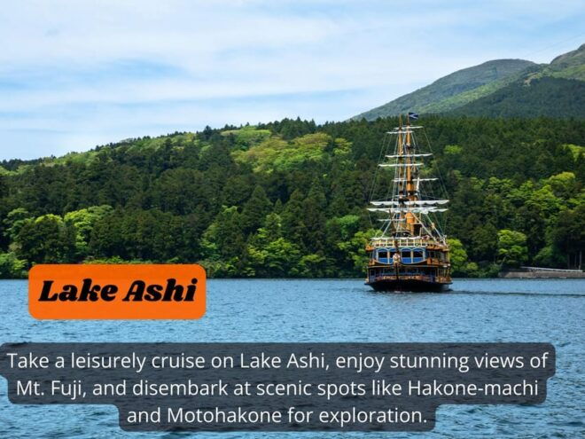From Tokyo: Hakone, Lake Ashi Private Sightseeing Day Trip - Important Information