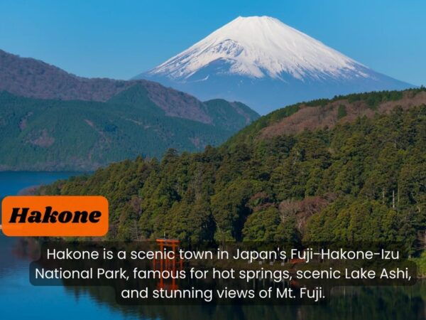From Tokyo: Hakone, Lake Ashi Private Sightseeing Day Trip - Frequently Asked Questions