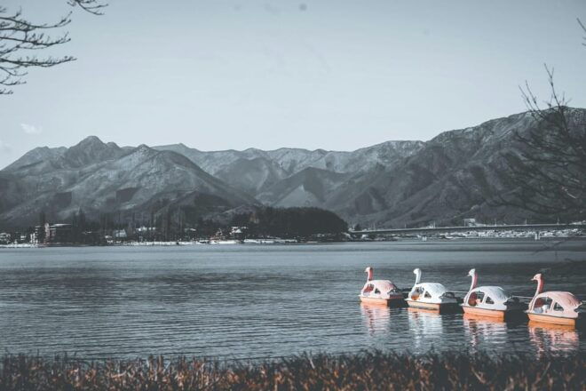 From Tokyo: Hakone & Mt.Fuji 1 Day Sightseeing Tour - Accessibility Information
