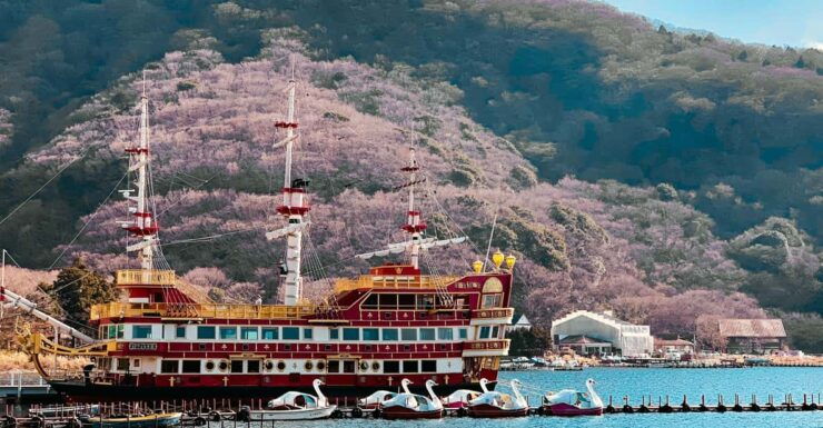 From Tokyo : Hakone Onsen , Nature and Art Day Tour - Itinerary Highlights