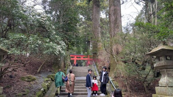 From Tokyo: Hakone With Lake Yamanaka Private Tour - Booking Details