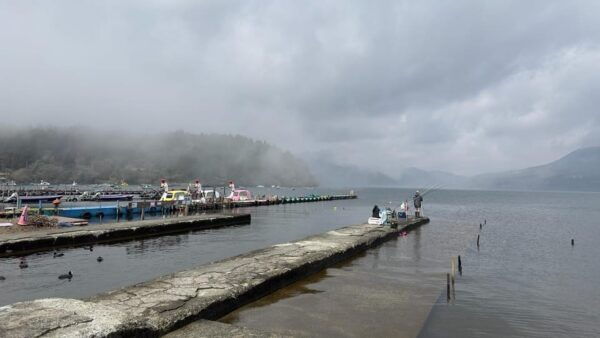 From Tokyo: Hakone With Lake Yamanaka Private Tour - Tips for Travelers