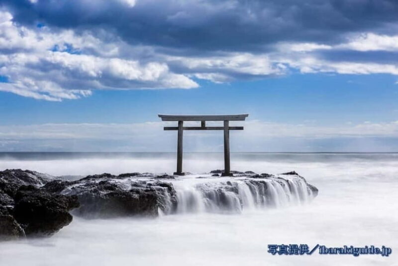 From Tokyo: Hitachi seaside Park & Oarai Isosaki Shrine Tour - Final Thoughts